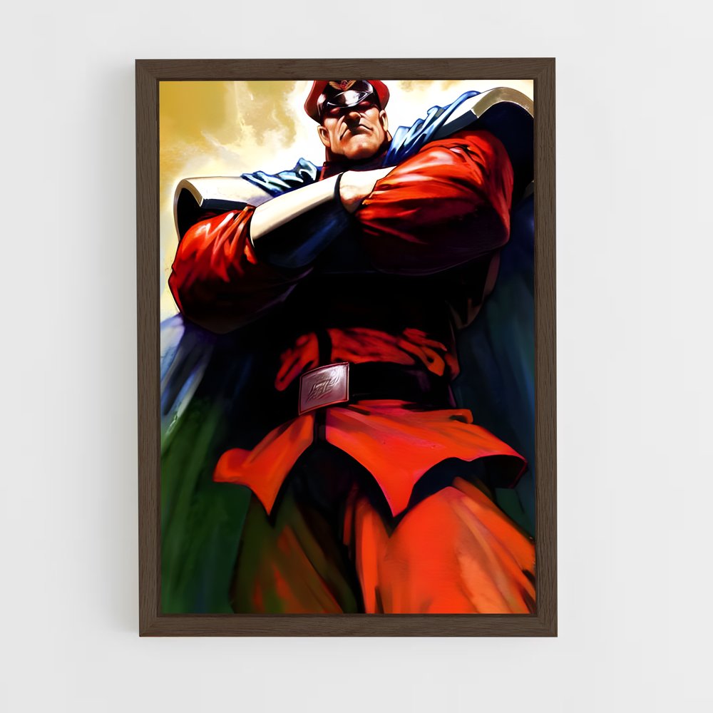 Poster Le Maître des Rues – affiche Street Fighter (vue 5)